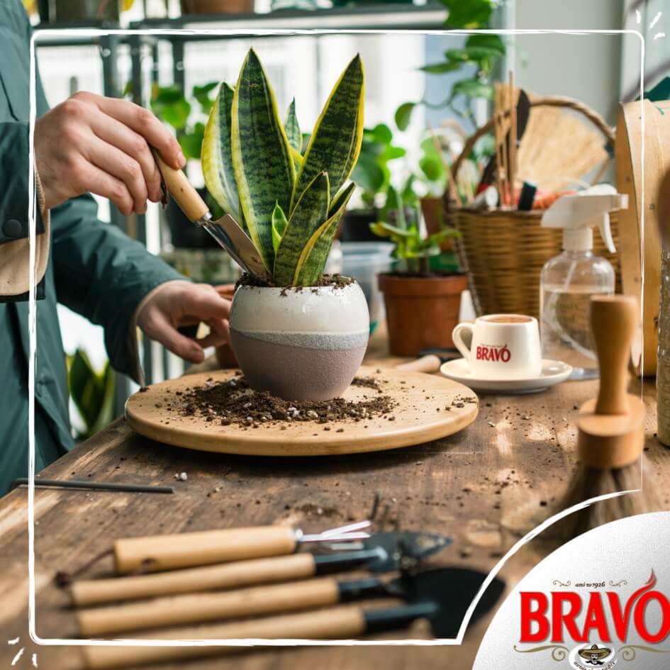 Greek traditional coffee Bravo - 193g - Image 4