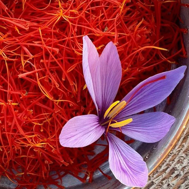 Organic saffron in powder PDO Kozanis - 0,5g - Image 3
